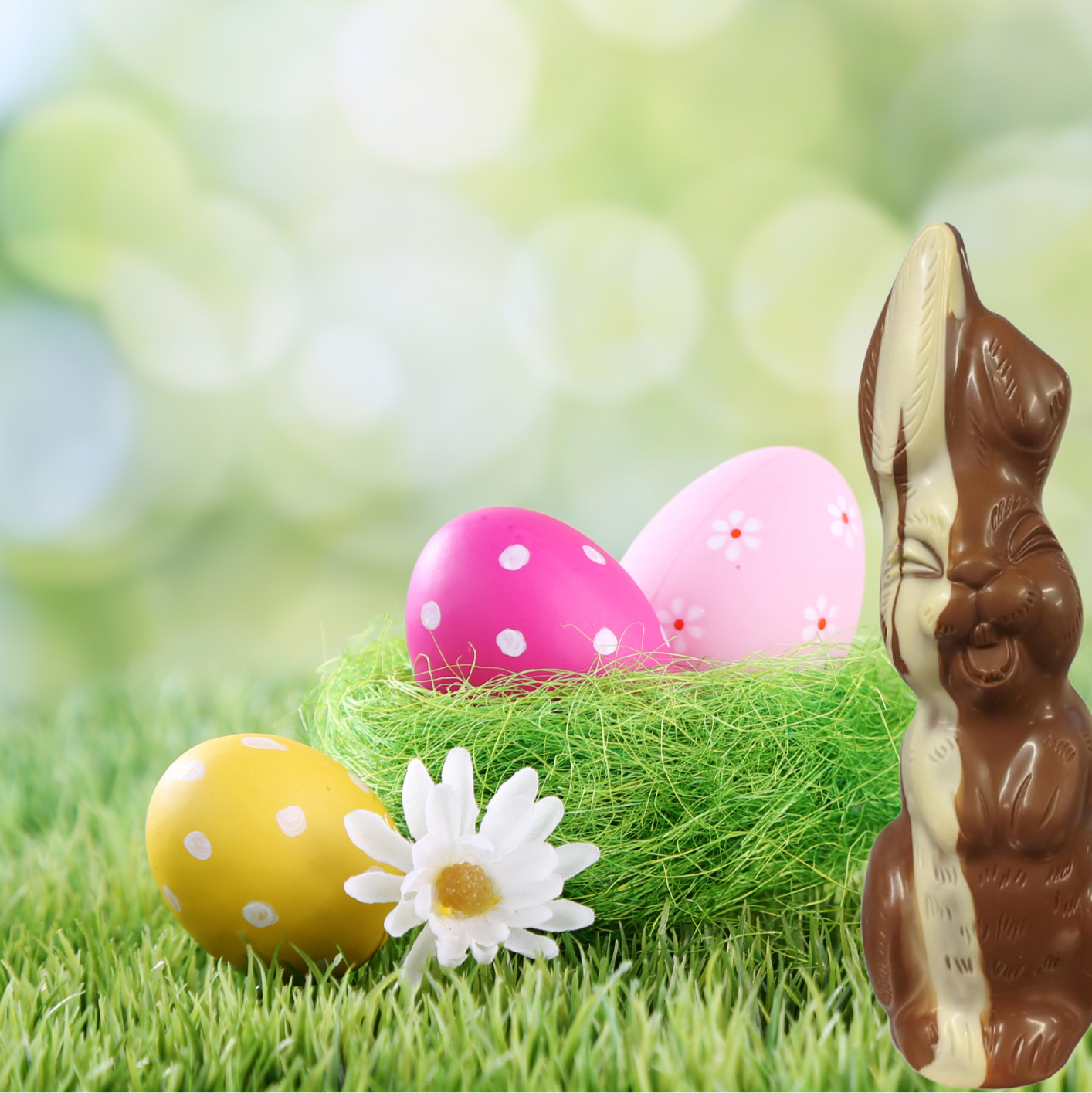 Melk Chocolade paashaas met vleugje witte of pure chocolade